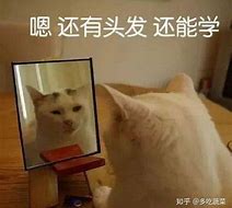 祝你不掉头发